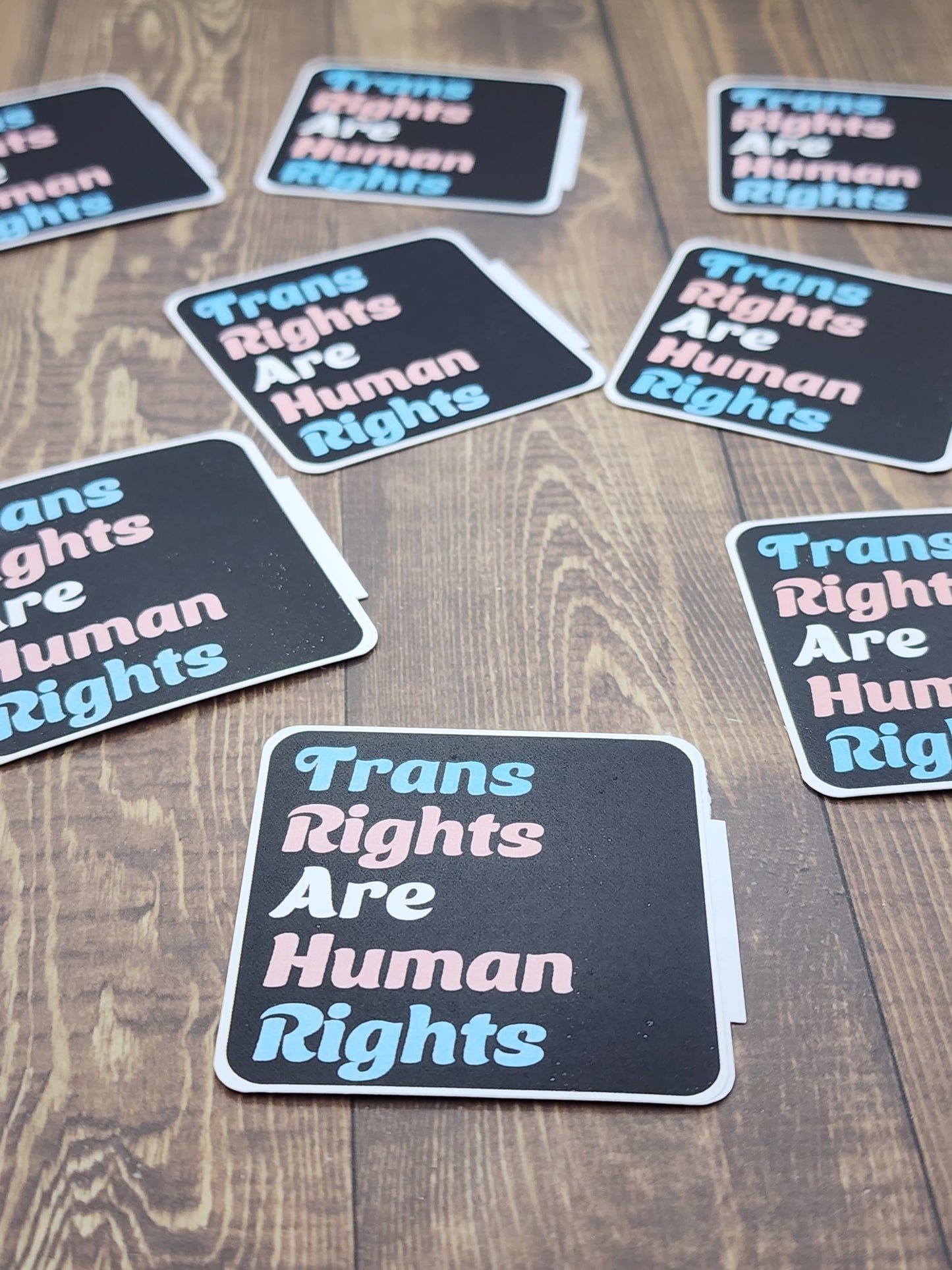 Trans rights are human rights sticker